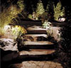 Landscape Lighting